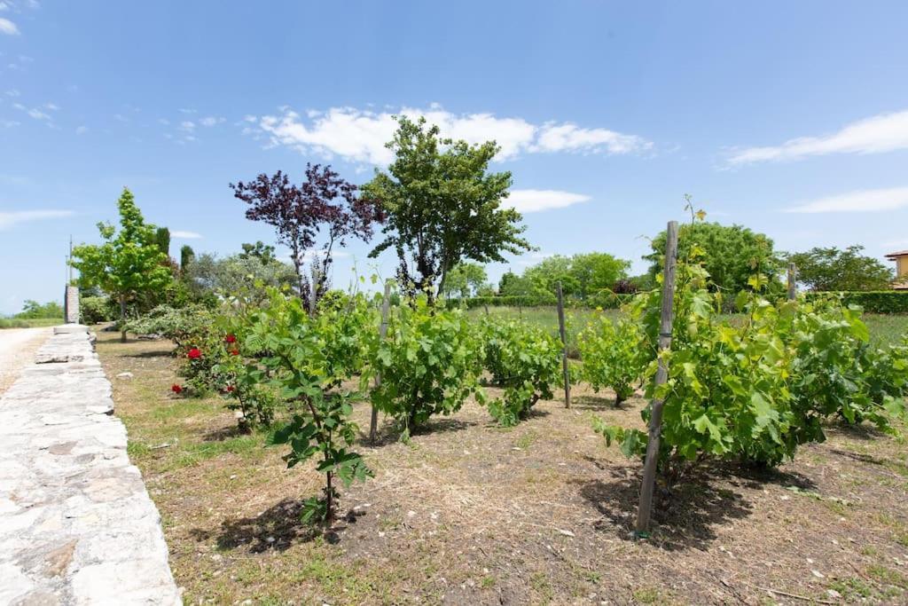 Villa Ruffo Campobasso Exteriér fotografie